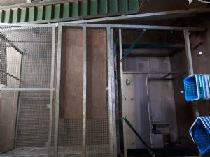 Ball dispenser conveyer washer for sale