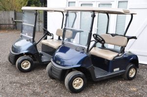 2017 EZGO RXV 48 Volt Golf Buggy for sale