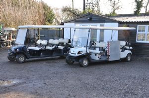 EZGO Cushman Golf Buggy Wheelchair Access for sale
