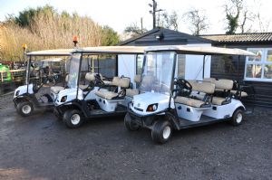 Ezgo Cushman Shuttle 6 Seater Petrol for sale