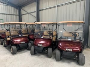 EZGO GOLF BUGGIES X 10 TXT 48V SPLIT SCREEN for sale