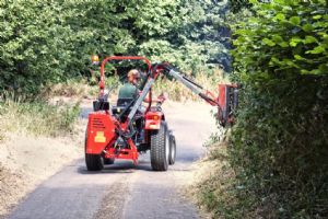 WAM80 Winton Flail Hedge Cutter 80cm for sale