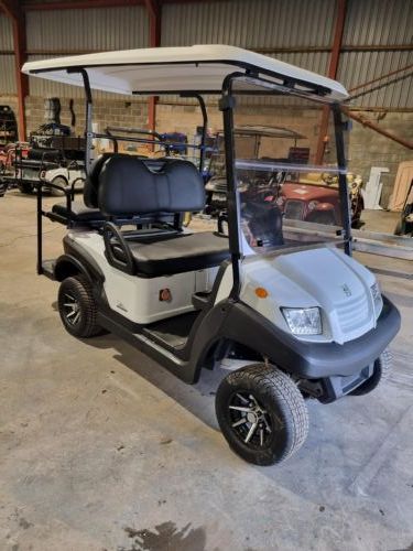 Eagle 4 Seat buggy for sale
