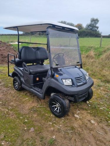 Eagle 4 Seat buggy for sale