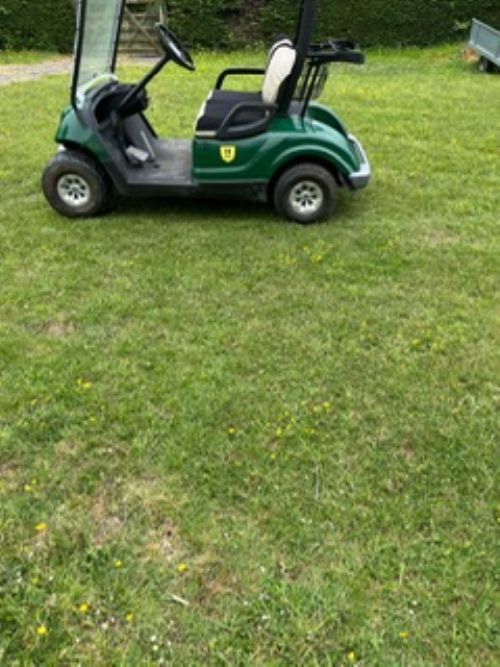Yamaha g29e Used Golf Buggy for sale