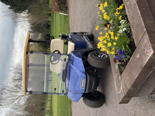 New TRYDAN Electric Golf Buggy  for sale