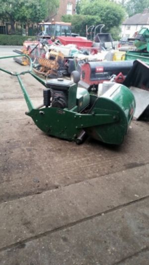 ransoms 36 mastif for sale