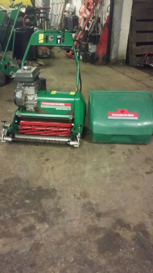 ransomes super bowl 51 for sale