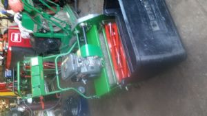 Dennis 30 
